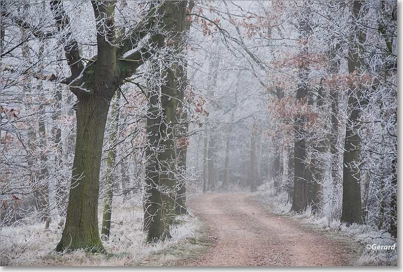 Winterse Tomperweg.JPG - Winterse Tomperweg.